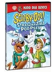 Scooby-Doo i straszna zima pod psem (DVD)