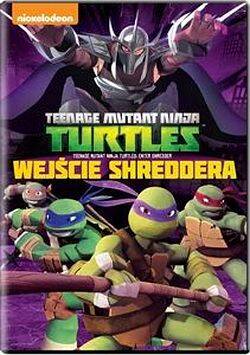 Wojownicze Żółwie Ninja: Wejście Shreddera (DVD)